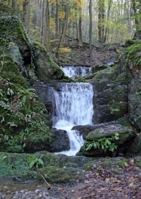 Laissez-Vous Enchanter Par La Vallee De La Meuse Hastiere-par-dela Esterno foto