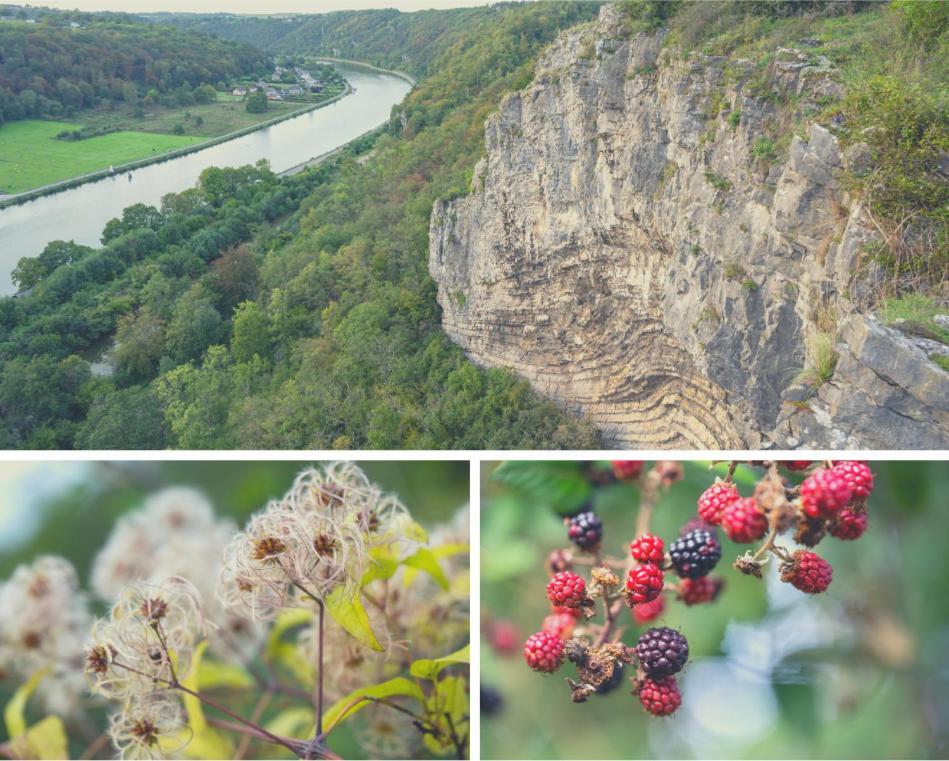 Laissez-Vous Enchanter Par La Vallee De La Meuse Hastiere-par-dela Esterno foto